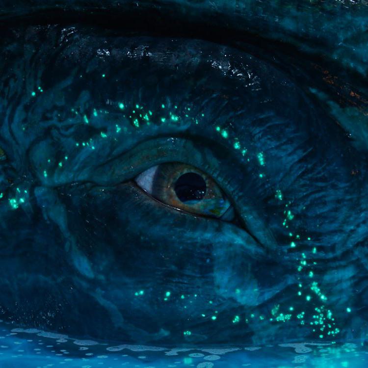 2025 20th Century Studios. All Rights Reserved.