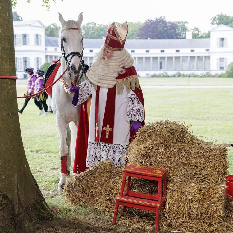 De Grote Sinterklaasfilm en de Strijd om Pakjesavond