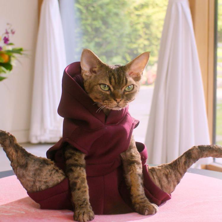 2025 DreamWorks Animation LLC. All Rights Reserved.