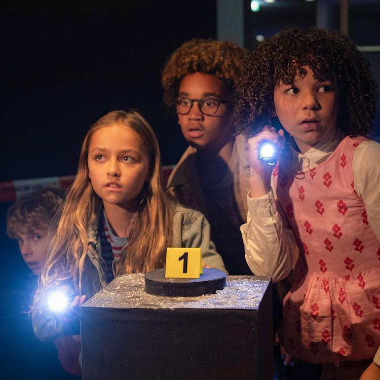 Juf Braaksel en de Mysterieuze Verdwijning