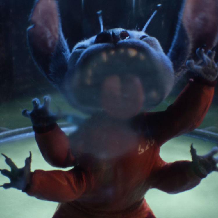 Copyright The Walt Disney Company, 2025.