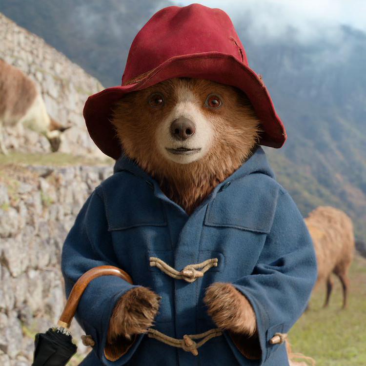 Paddington in Peru (NL)