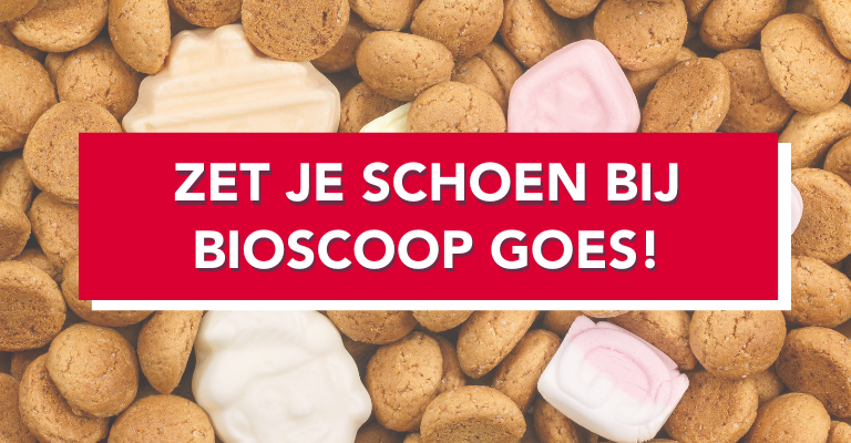 Sinterklaas actie