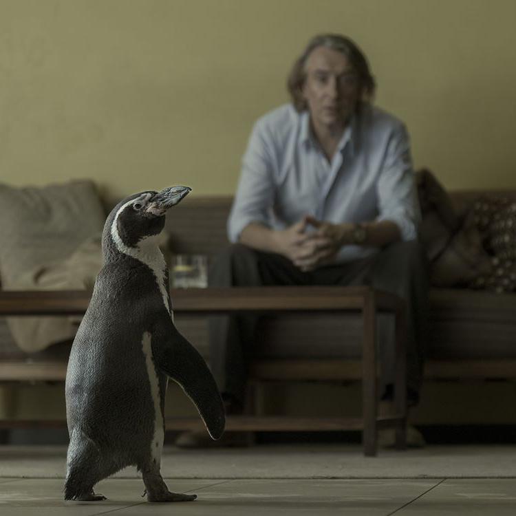photo by Andrea Resmini ©NOSTROMO PRODUCTION STUDIOS SL - NOSTROMO PICTURES CANARIAS SL - PENGUIN LESSONS LTD