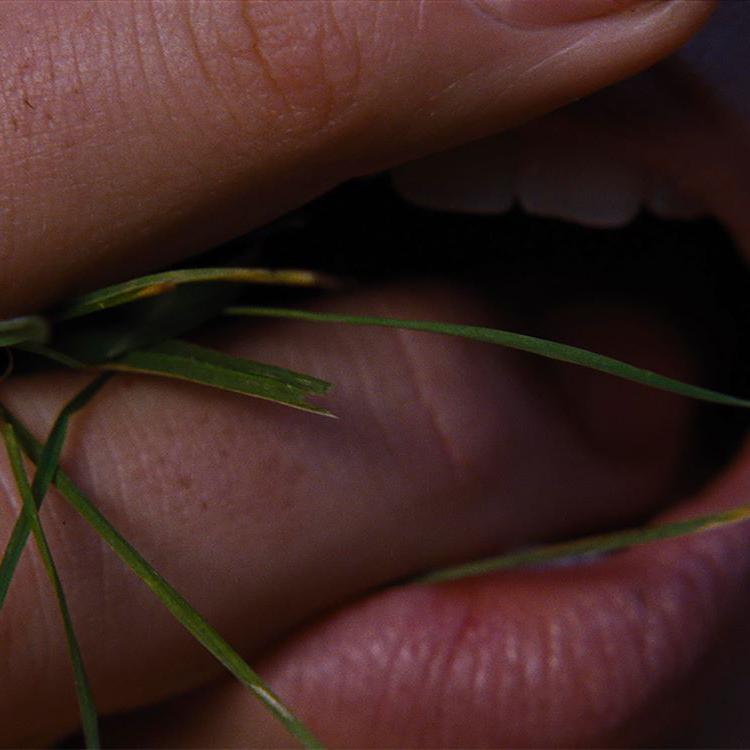 Photo Courtesy Warner Bros. Pictures